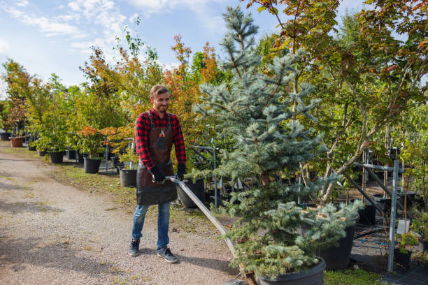 Best Tree Planting Services  in Lauderdale Lakes, WI